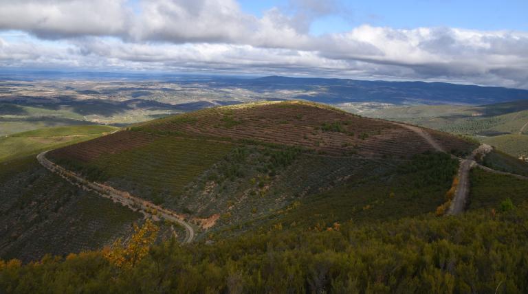Bosque de Las Agallas (Salamanca).