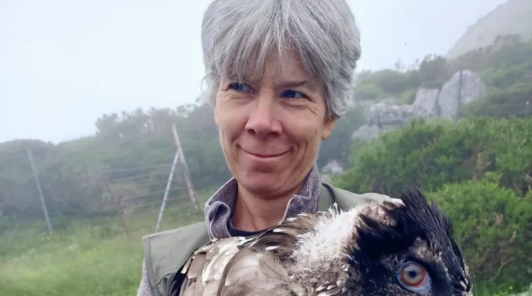 La veterinaria encargada de la investigación en el IREC, la doctora Úrsula Höfle Hansen