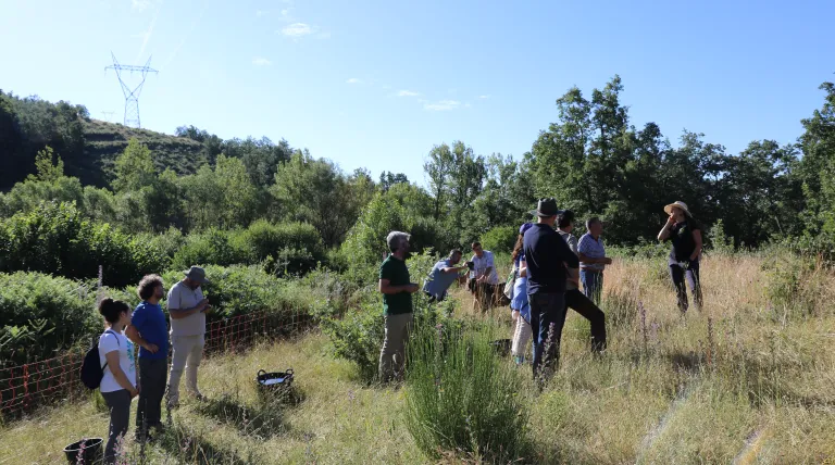 Participantes en las II Jornadas pastoreo en las redes conocen los resultados del proyecto en el campo, en la zona de La Robla (León).