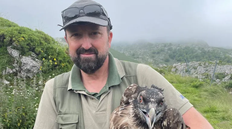 El director de la FCQ, Gerardo Báguena, sostiene un pollo de quebrantahuesos antes de su liberación