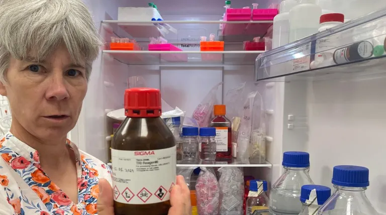 La doctora Úrsula Höfne en el laboratorio del IREC