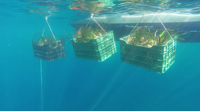 Una plataforma abierta a más colaboradores