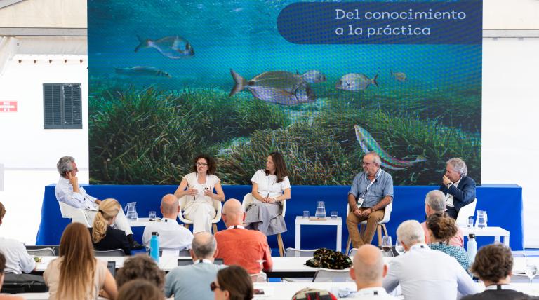 Experts present practical experiences of marine conservation. 