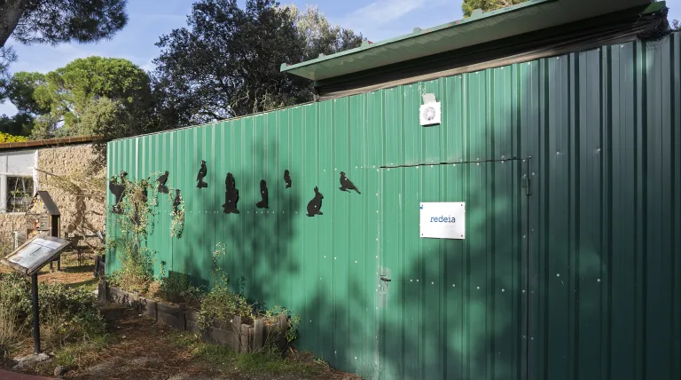 Acceso al espacio renovado de aves esteparias en GREFA apoyado por Redeia