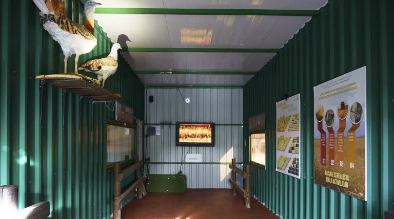 Interior del espacio para visitantes con cristales espía para ver las aves.