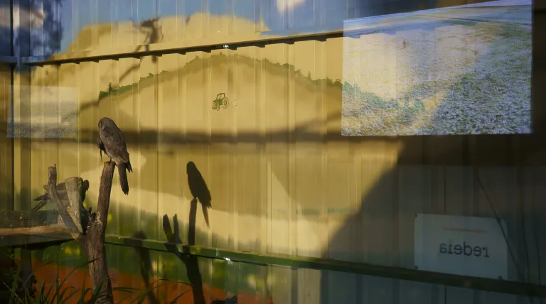 Rapaz dentro del espacio para esteparias.