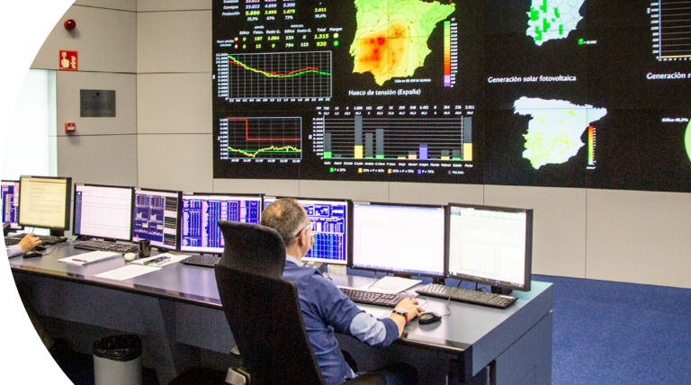 Creation of the Control Centre of Renewable Energies (CECRE).