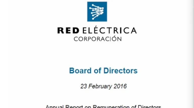 Cover of Anual Report on Remution of Directors 2016