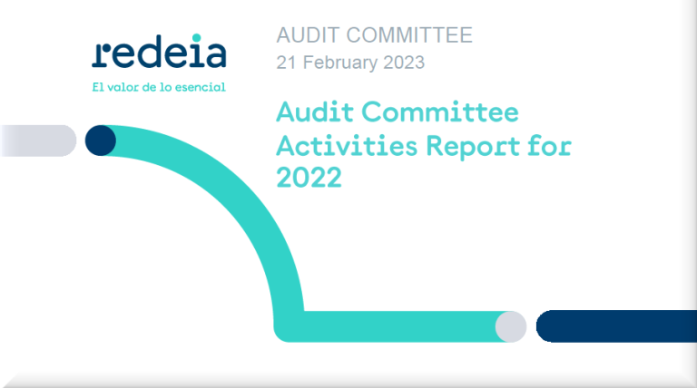 Activities Report of the Audit Committee for 2022