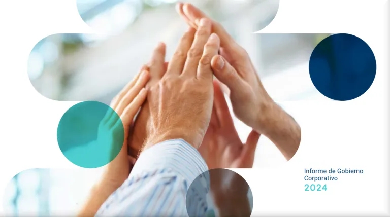 Informe anual de Gobierno Corporativo 2024