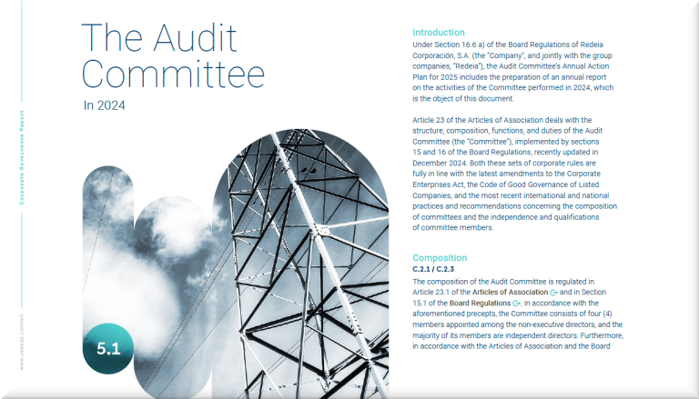 Activities Report of the Audit Committee for 2024