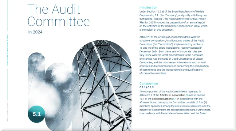Activities Report of the Audit Committee for 2024