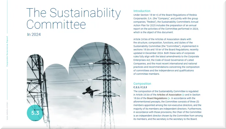 Activities Report of the Sustainability Committee for 2024 Activities Report of the Sustainability Committee for 2024