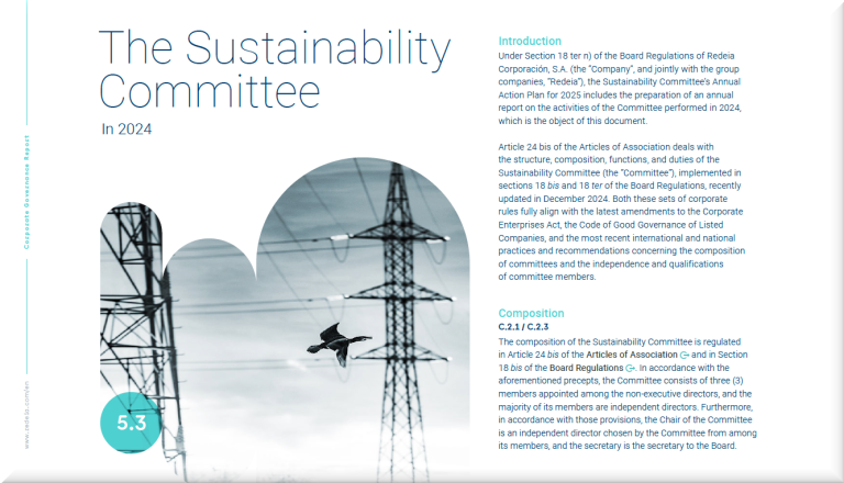 Activities Report of the Sustainability Committee for 2024 Activities Report of the Sustainability Committee for 2024