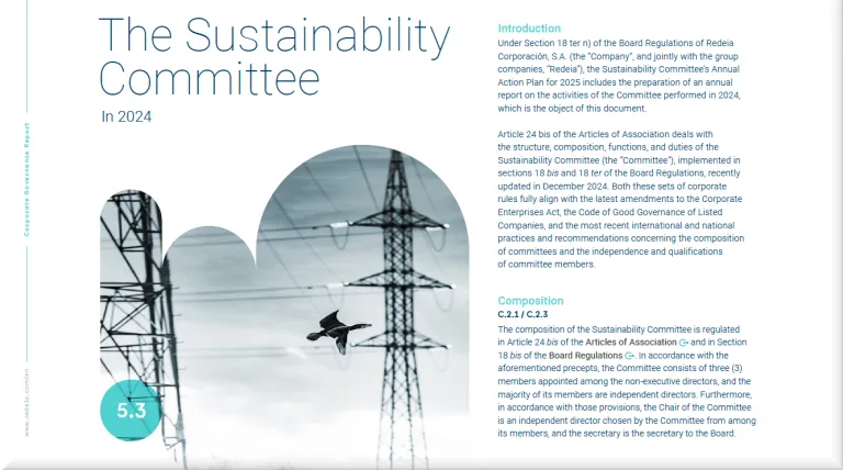 Activities Report of the Sustainability Committee for 2024