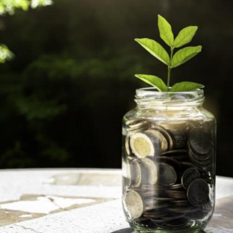 bote monedas planta