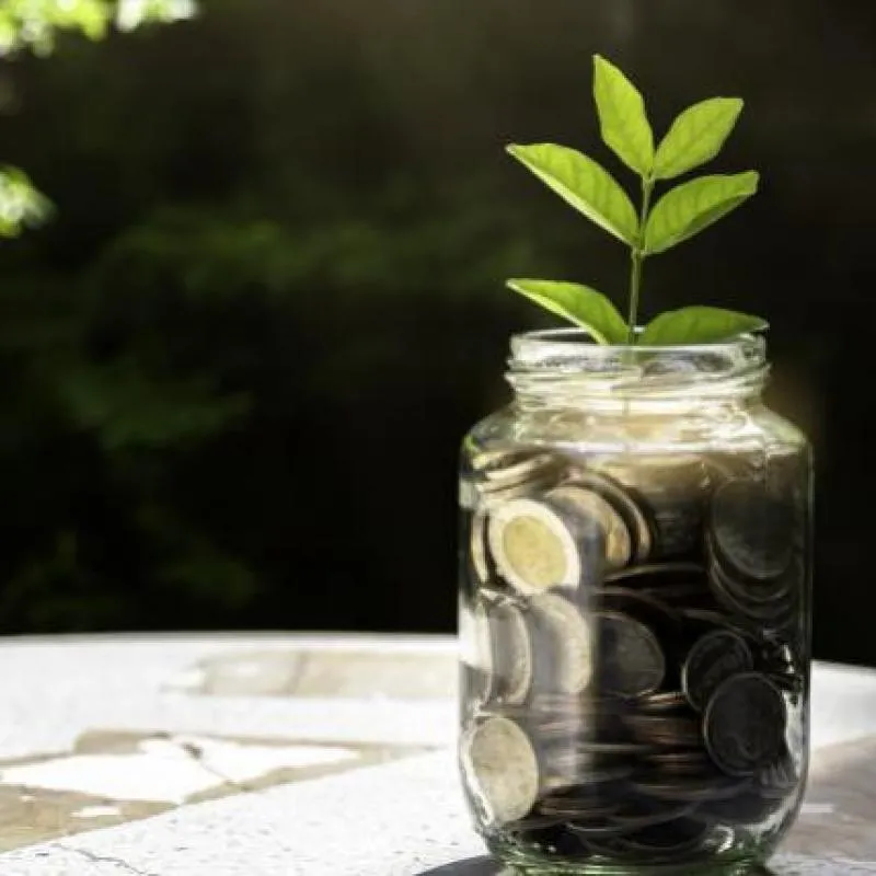 bote monedas planta