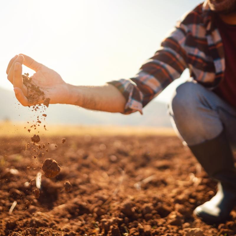 Hombre de cuclillas dejando caer tierra de un campo de su mano