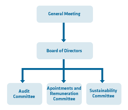 Governance structure