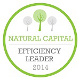 Logo Natural capital - Efficiency leader - 2014