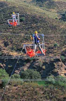 Obreros manipulando cables de red eléctrica