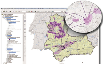 Mapping of bird flight paths