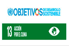 ODS13 ODS13