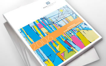 Informe Anual de Gobierno Corporativo 2006